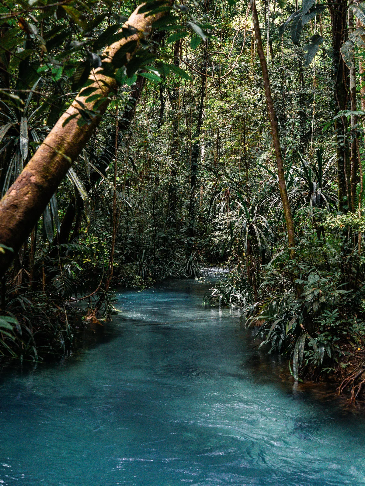 Travel photography, Raja Ampat, Indonesia