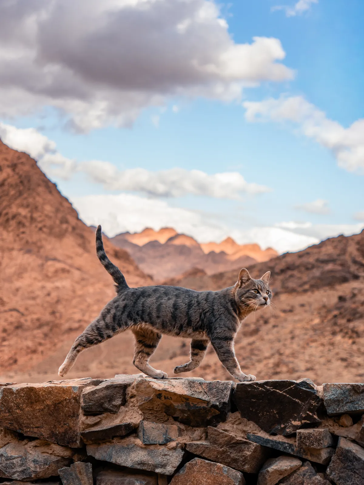 Travel photography, Mount Sinai, Egypt