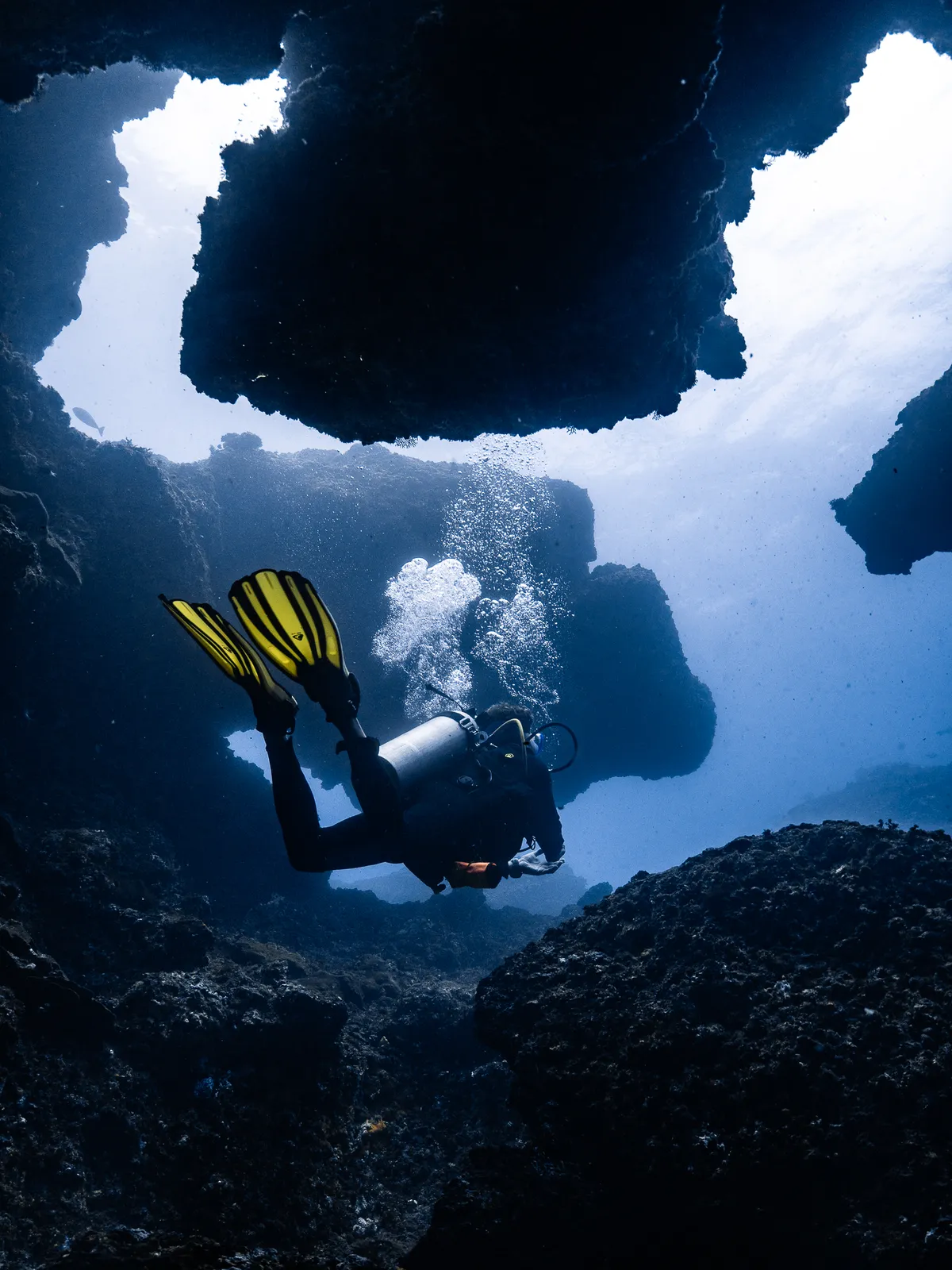 Underwater photography, Nusa Penida, Bali