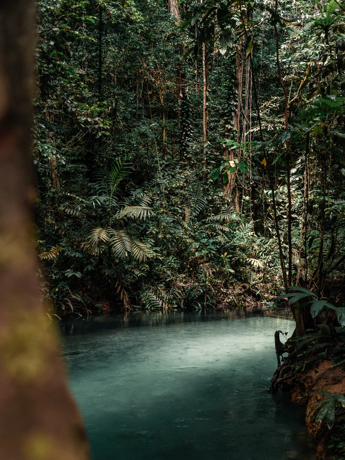 Travel photography, Raja Ampat, Indonesia