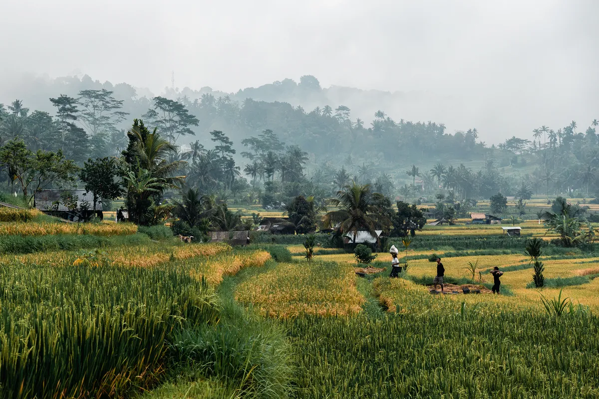 Travel photography, Bali, Indonesia