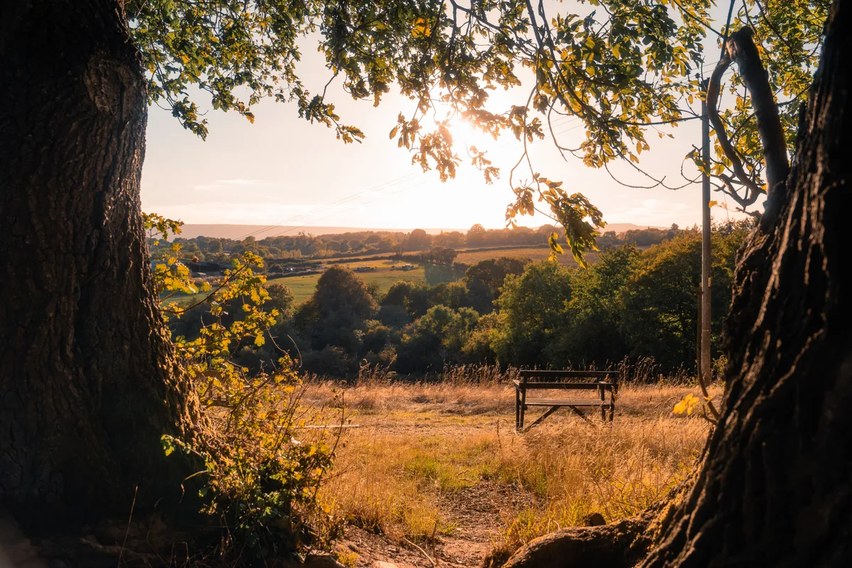 Rock Cottage Nature Retreat, Hereford, UK, hospitality photography